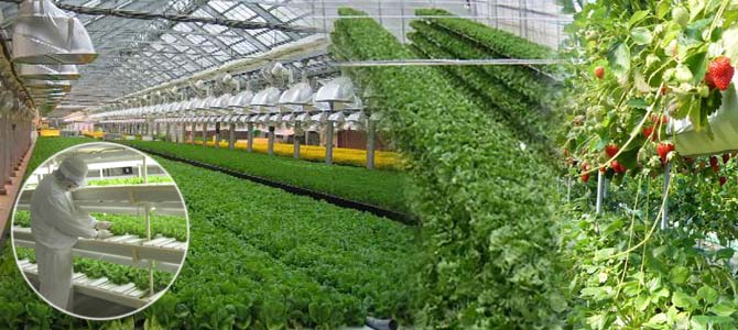 産業廃棄物処理装置・余熱利用